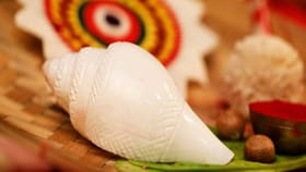 देव्हाऱ्यात शंख कधीही या चुकीच्या दिशेला तोंड करून ठेऊ नका.