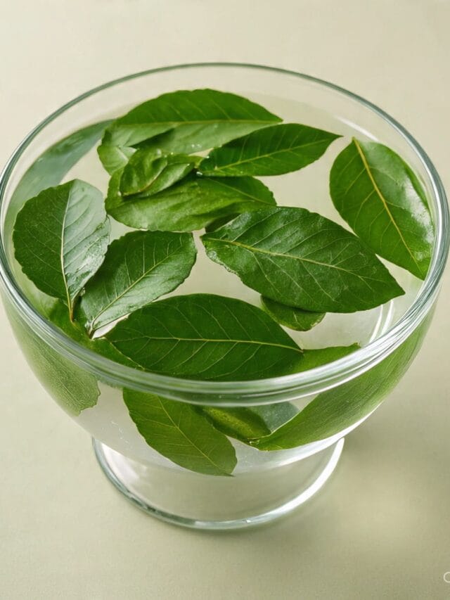 सकाळी कडीपत्त्याचे पाणी प्यायल्याने काय होते ?