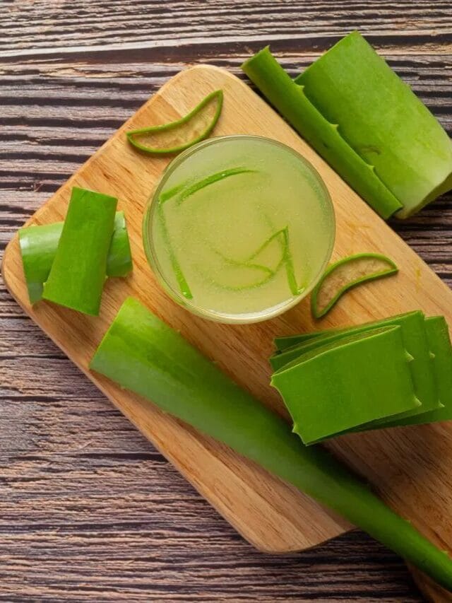 कोरफडचा ज्यूस खरच चांगला असतो का?