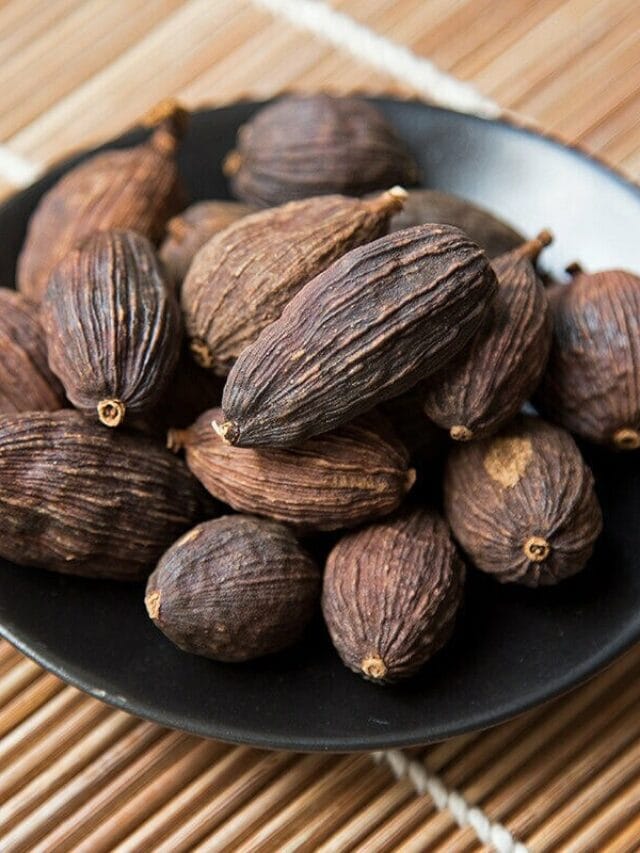 रिकाम्या पोटी मोठी इलायची खाण्याचे फायदे काय ?