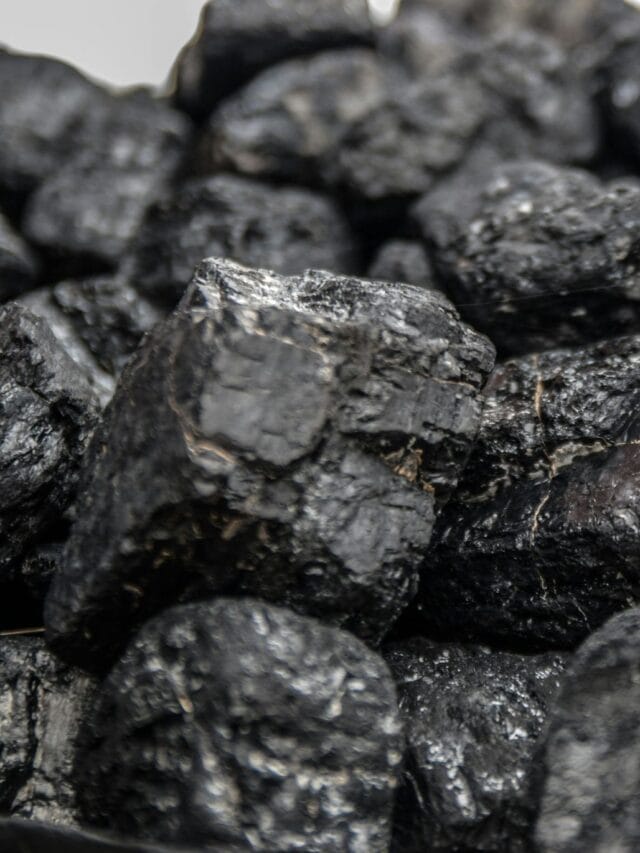 भारत, चीन की जपान कोणाकडे जास्त कोळसा सापडतो ?