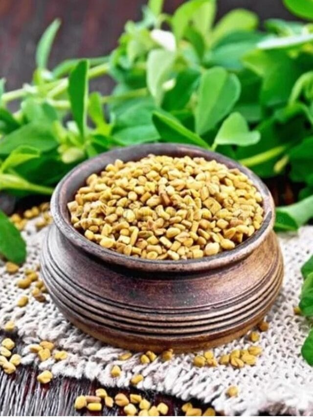 सकाळी मेथीचे पाणी प्यायल्याने काय होते ?