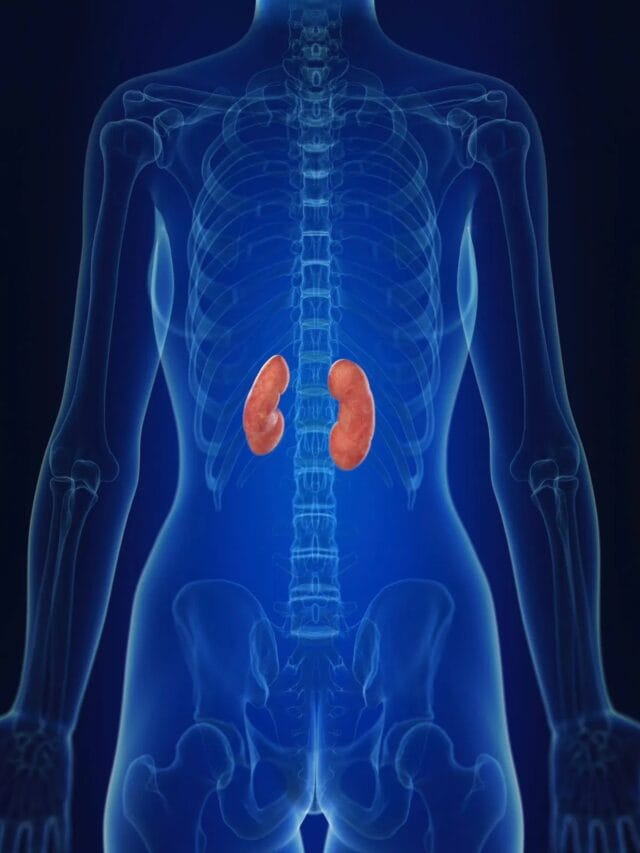 किडणीच्या उत्तम आरोग्यासाठी काय खावे?