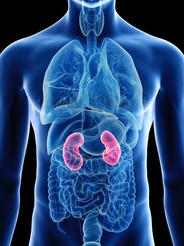 ही फळे खाणे किडनीच्या आरोग्यासाठी चांगले असते