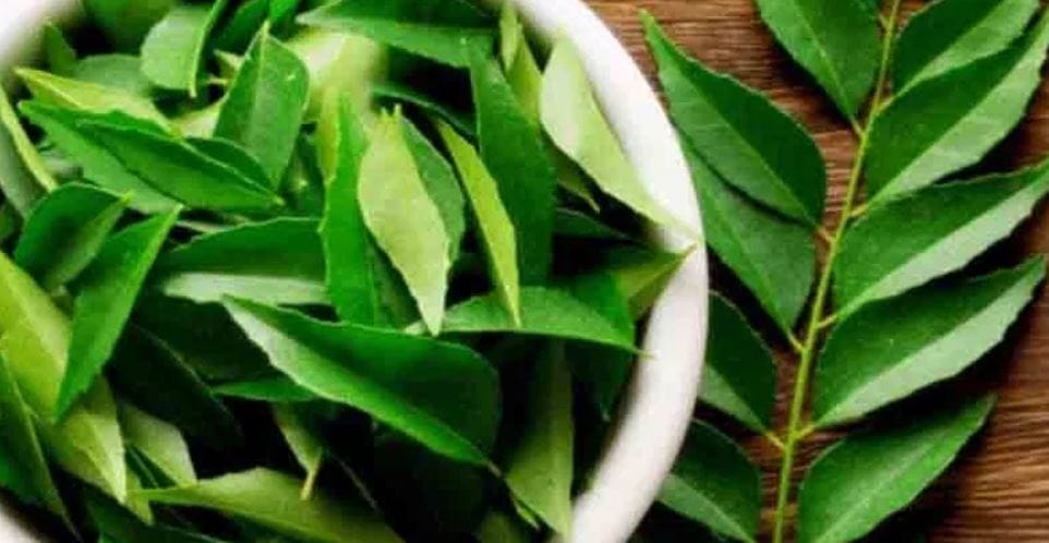 कॉकरोच म्हणजेच झुरळ साधारण प्रत्येक घरात दिसतो. घरात सामानाची गर्दी झाली की समजा तिथे झुरळ होणारच. एकदा का घरात झुरळ झाले की नंतर मात्र फारच डोकेदुखी वाढते. हा त्रास होऊ नये म्हणून अनेकजण वेगवेगळे उपाय करतात.