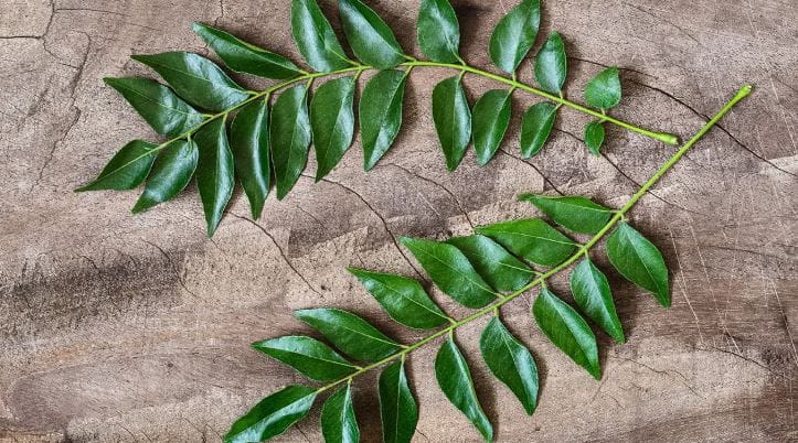 विशेष म्हणजे झुरळ हे अन्नात, भांडे, कपडे अशा सर्वच ठिकाणी जातात. त्यामुळे जास्तच मनस्ताप होतो. हीच अडचण होऊ नये यासाठी काही खबरदारी घेणे गरजेचे आहे.