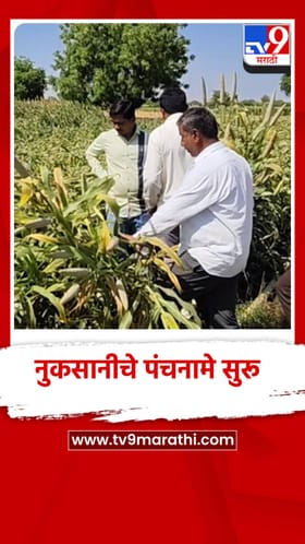 धुळ्यात अवकाळी पावसाने आतोनात नुकसान, प्रशासनाकडून पंचनामाला सुरुवात