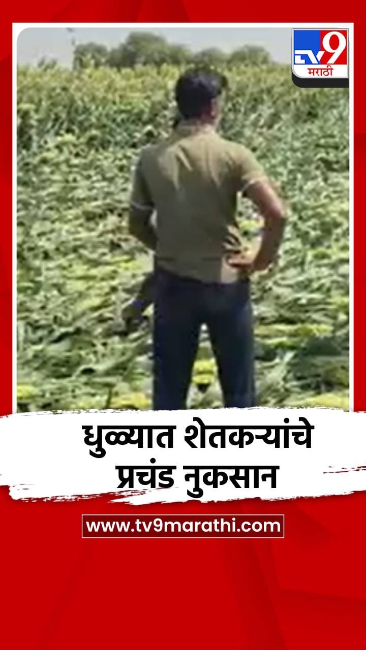 अवकाळी पावसामुळे धुळे जिल्ह्यात शेतकऱ्यांचे प्रचंड नुकसान