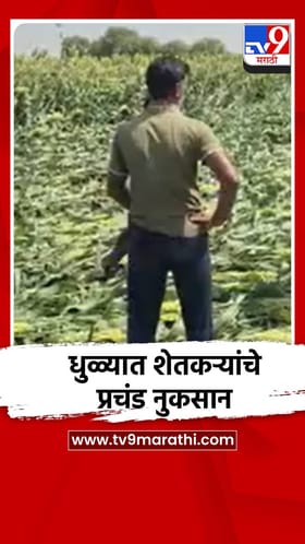 अवकाळी पावसामुळे धुळे जिल्ह्यात शेतकऱ्यांचे प्रचंड नुकसान