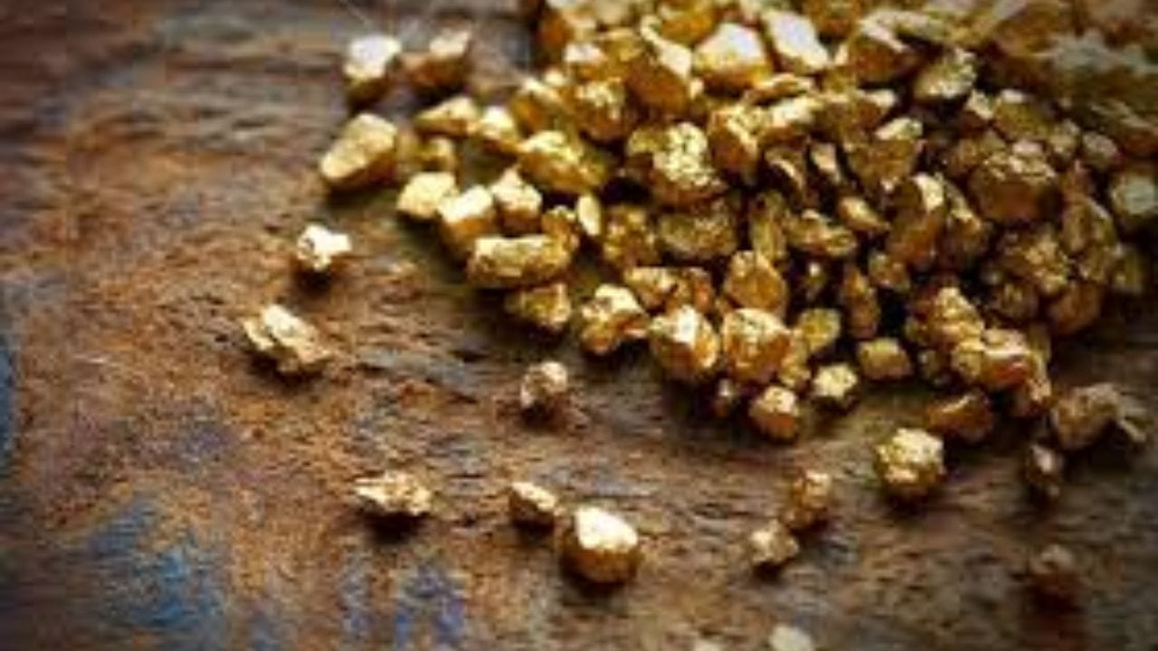  जगातील सर्वात मोठा सोन्याचा साठा १८८६ मध्ये विटवाटरसँड क्षेत्रात शोधला गेला. हा इतिहासातील सर्वात मोठा गोल्ड साठा आहे. 