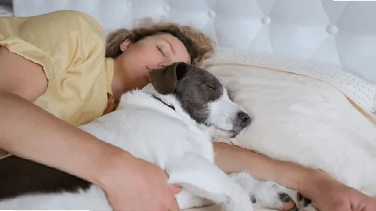 या अभ्यासात असेही आढळून आले की, कुत्र्यासोबत झोपल्यामुळे महिलांना सुरक्षिततेची भावना अधिक मिळते. 