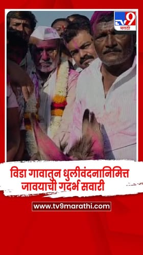 बीड - धुलीवंदनानिमित्त जावयाची गदर्भ सवारी, 90 वर्षांपासूनची परंपरा कायम.