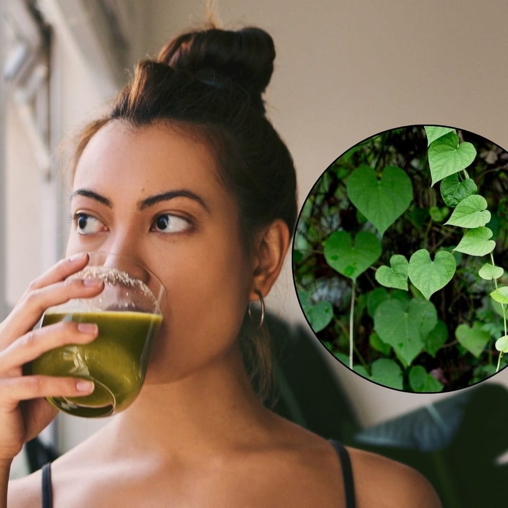  तुळशीप्रमाणेच, गिलोयला आयुर्वेदात रोगप्रतिकारक शक्ती वाढवणारा मानले जाते. ते ताप कमी करते आणि संसर्ग रोखण्यास मदत करते. तुम्ही दररोज गिलोयचा रस घेऊ शकता किंवा पाण्यात उकळून काढा बनवून पिऊ शकता.