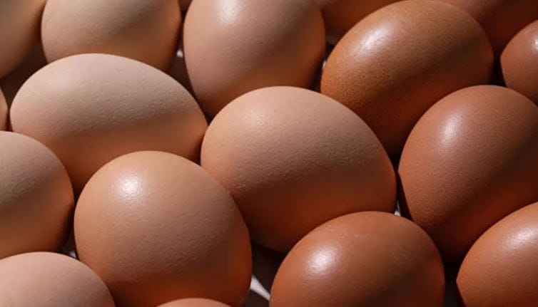 उत्तर प्रदेशमध्ये येत्या 1 एप्रिल रोजीपासून एका आगळ्यावेगळ्या नियमाची अंमलबजावणी केली जाईल. या नियमानुसार आता प्रत्येक अंड्यावर एक्स्पायरी डेट लिहिलेली असेल. म्हणजेच खूप दिवसांपासून विक्रीसाठी अंडे ठेवल्याचे ग्राहकांना लगेच समजणार आहे. 