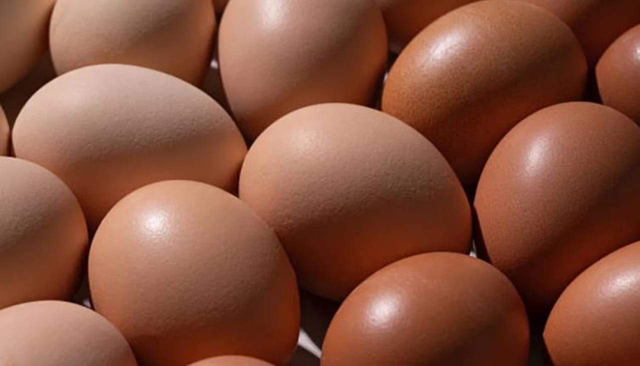 उत्तर प्रदेशमध्ये येत्या 1 एप्रिल रोजीपासून एका आगळ्यावेगळ्या नियमाची अंमलबजावणी केली जाईल. या नियमानुसार आता प्रत्येक अंड्यावर एक्स्पायरी डेट लिहिलेली असेल. म्हणजेच खूप दिवसांपासून विक्रीसाठी अंडे ठेवल्याचे ग्राहकांना लगेच समजणार आहे.