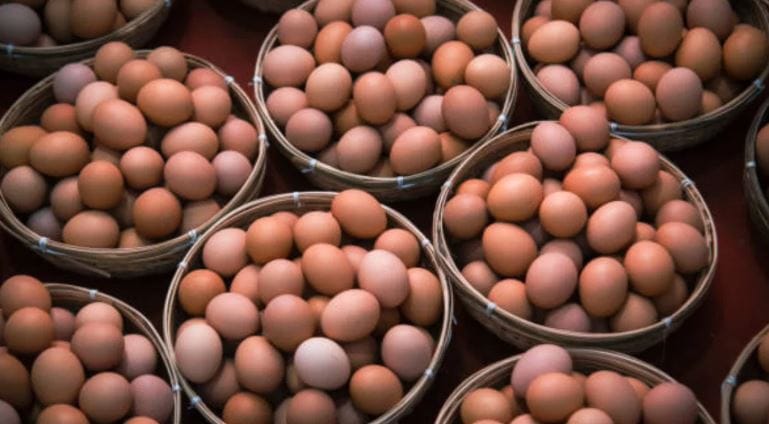 मेक्सिकोमध्ये प्रत्येक व्यक्ती वर्षाला सरासरी 363 अंडी खाते. म्हणजेच मेक्सिकोमध्ये प्रत्येक व्यक्ती रोज एक तरी अंडे खातेच. अंडे हे प्रोटीनचा प्रमुख स्त्रोत असल्याचे तिथे मानले जाते. त्यामुळे तिथे आहारात अंडी मोठ्या प्रमाणात असतात.