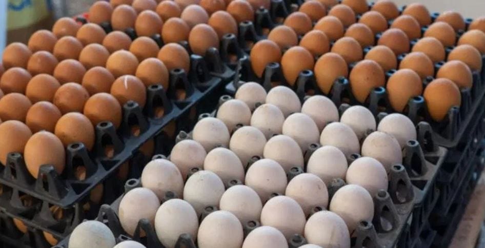 भारत अंडी उत्पादनाच्या बाबतीत मात्र मेक्सिकोच्या पुढे आहे. अंडी उत्पादनाच्या क्षेत्रात भारत दुसऱ्या क्रमांकाचा देश आहे. पहिल्या क्रमांकावर चीन आहे. 2024-25 साली भारतात 149.11 अब्ज अंड्यांचे उत्पादन झाले.