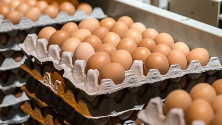 भारतात प्रत्येक व्यक्ती वर्षाला सरासरी 106 अंडी खाते. मेक्सिकोच्या तुलनेत हा आकडा खूपच कमी आहे. अंडी उत्पादनाच्या क्षेत्रात भारत बांगलादेश, पाकिस्तान, श्रीलंकेच्याही पुढे आहे. आता ग्रामी भागातही अंडी खाणाऱ्यांचे प्रमाण वाढत आहे. लोकांमध्ये जागरुकता निर्माण होत आहे.