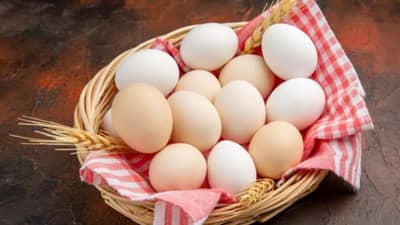 एक्सपायर अंडी खाल्ल्याने नेमकं काय होतं? शरीराला असतो हा धोका