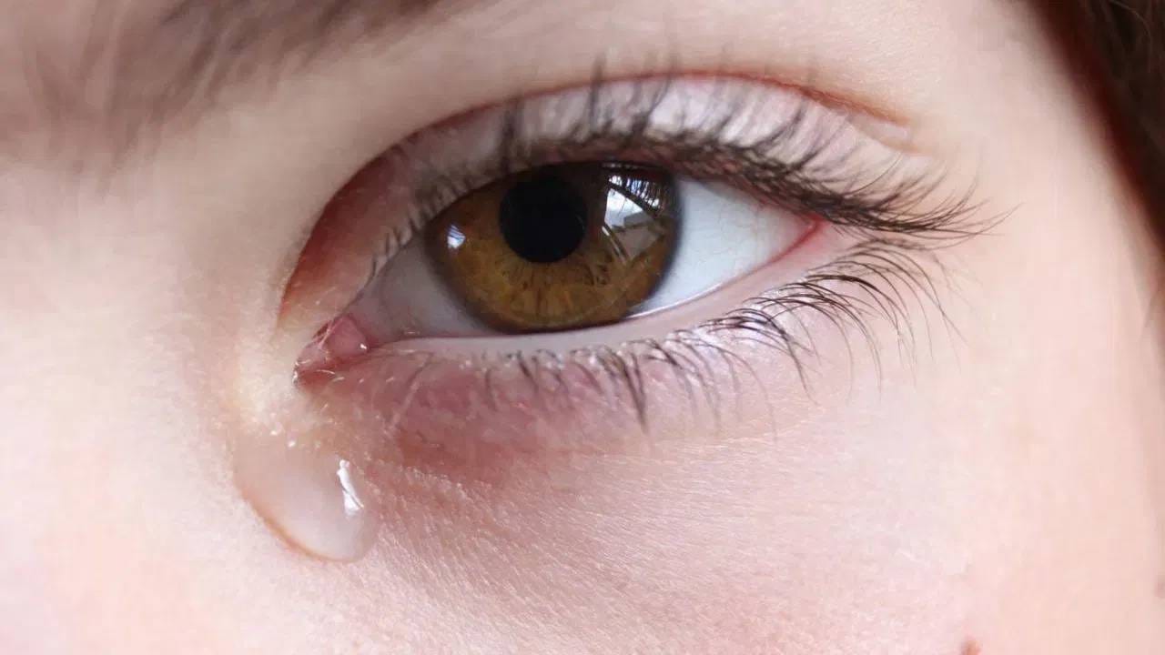 आपल्या सर्वांनाच माहिती आहे की, यकृत आपल्या शरीरातील सर्वात महत्वाचा अवयव आहे. यकृताची काळजी घेणे महत्वाचे आहे. यकृत विषारी पदार्थ काढून टाकण्यासाठी आणि अन्न पचन करण्याकरिता मदत करते. 