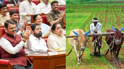 राज्यातील शेतकऱ्यांसाठी ऐतिहासिक घोषणा, लवकरच कर्जमाफी होणार, कृषिमंत्र्यांनी थेट तारीखच सांगितली