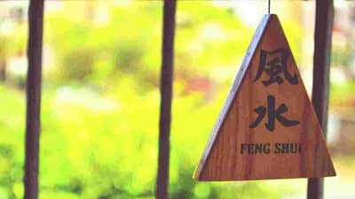 Feng Shui : 5 असे उपाय जे तुमचं नशीबच बदलून टाकतील, घरात या वस्तू आजच घेऊन या