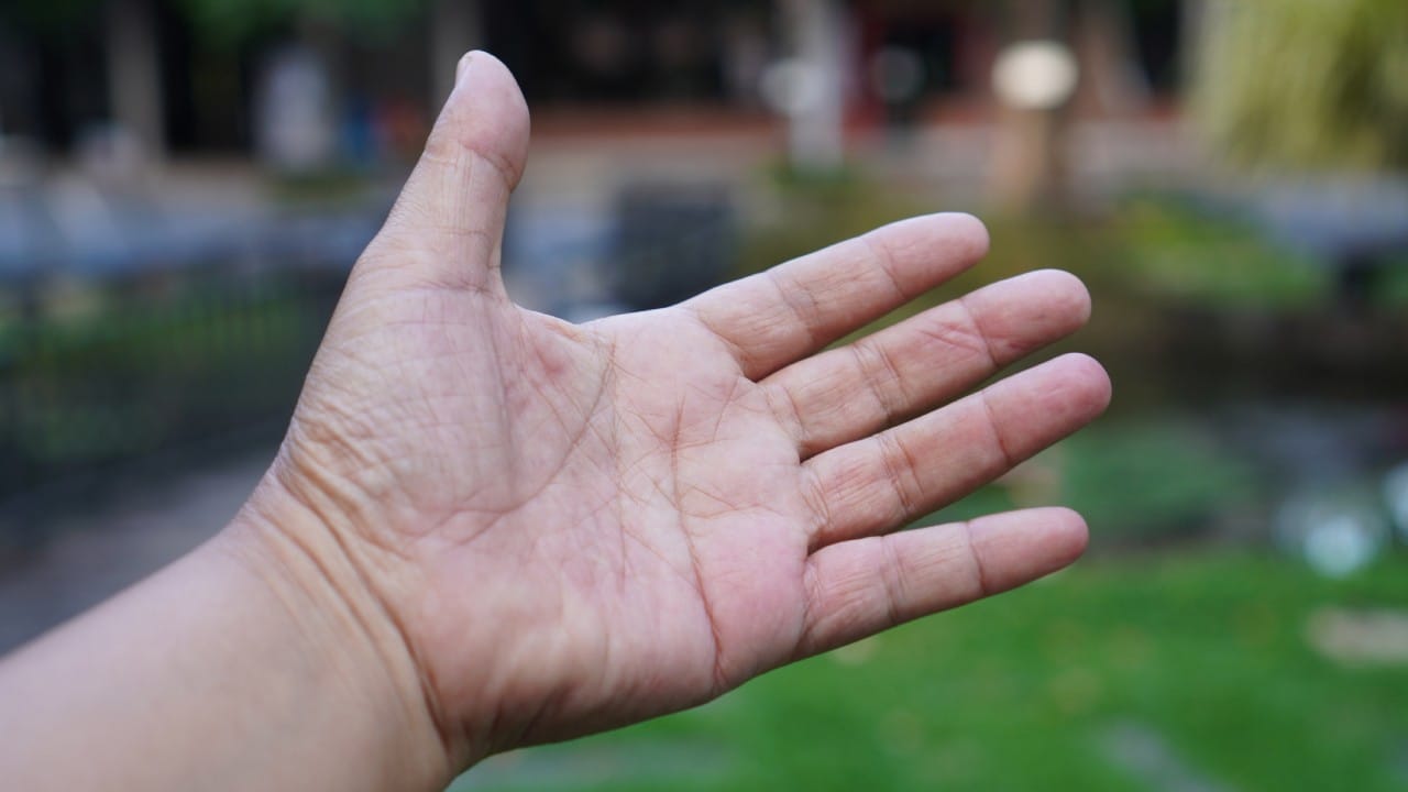  अनामिका (Ring Finger) : मध्यमा आणि करंगळीच्या दरम्यान असलेल्या बोटाला अनामिका म्हणतात. भारतीय संस्कृतीत या बोटाला धार्मिक महत्त्व आहे. लग्नाची अंगठी याच बोटात घातली जाते. तसेच टिळा लावणे किंवा औषध लावताना या बोटाचा वापर होतो. असे मानले जाते की या बोटाची नस थेट हृदयाशी जोडलेली असते, म्हणून याला हृदय बोट असेही म्हणतात.