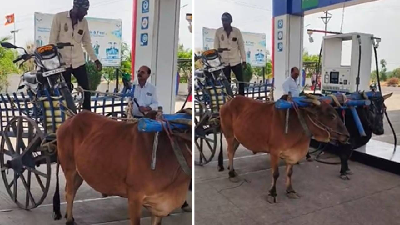 छत्रपती संभाजीनगर जिल्ह्यातील कन्नड तालुक्यातील शिवराई फाटा येथे पेट्रोल टंचाईची झळ प्रत्यक्षात पाहायला मिळाली. एका तरुणाची दुचाकी पेट्रोल संपल्यामुळे रस्त्यातच बंद पडली. पेट्रोल मिळत नसल्याने त्या तरुणाने थेट दुचाकी बैलगाडीत टाकून पेट्रोल पंप गाठल्याची घटना समोर आली आहे. या प्रकाराचा व्हिडिओ सध्या सोशल मीडियावर प्रचंड व्हायरल होत असून, नागरिकांमध्ये विविध प्रतिक्रिया उमटत आहेत.