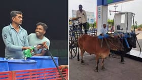 येड्याचा बाजार की नादच खुळा? पेट्रोल भरण्यासाठी बैलगाडीतून बाईक.