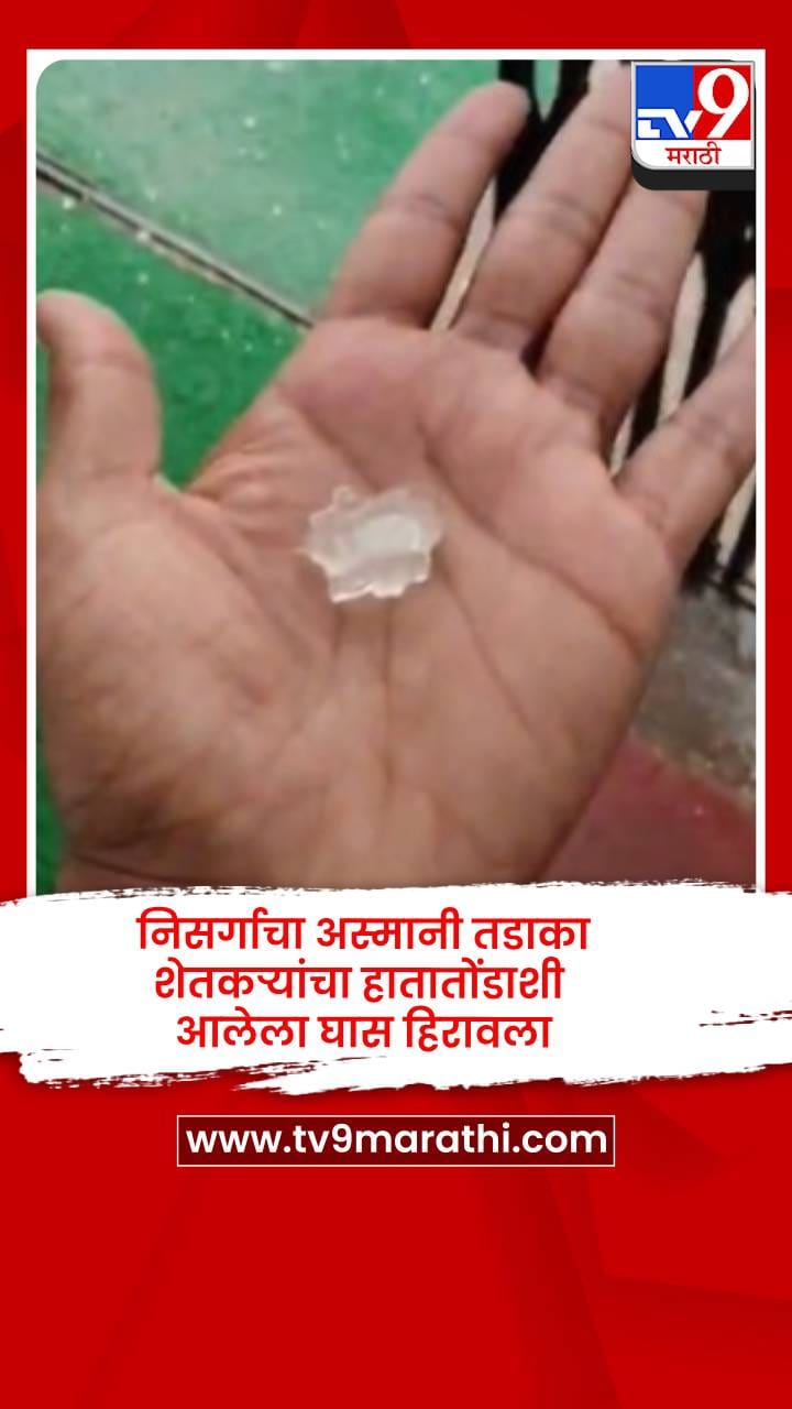 निसर्गाचा अस्मानी तडाका, शेतकऱ्यांचा हातातोंडाशी आलेला घास हिरावला