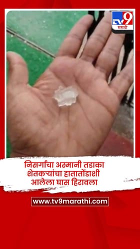 निसर्गाचा अस्मानी तडाका, शेतकऱ्यांचा हातातोंडाशी आलेला घास हिरावला