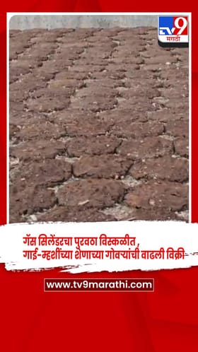 गॅस सिलेंडरचा पुरवठा विस्कळीत , गाई-म्हशींच्या शेणाच्या गोवऱ्यांची वाढली विक्री
