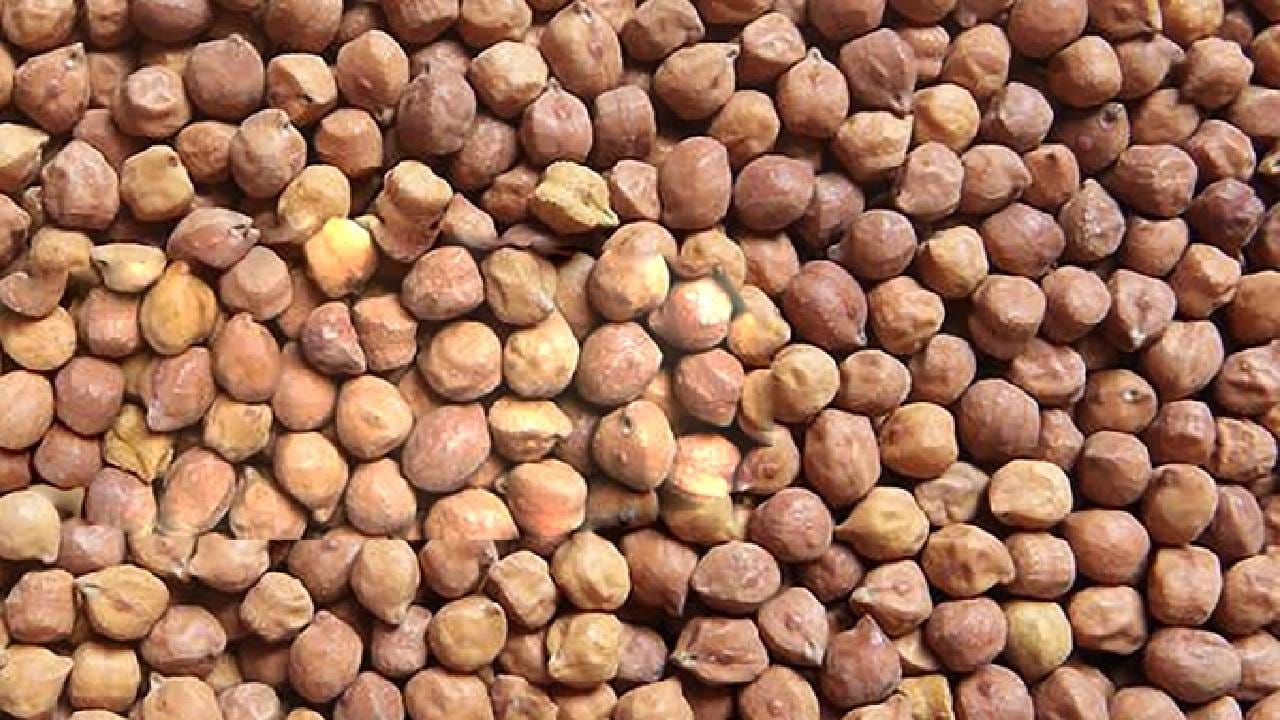 अनेकदा लोक प्रोटीन शेकवर अवलंबून राहतात. मात्र, प्रोटीन शेकपेक्षा असे काही कडधान्य आहेत, ज्याचा दररोजच्या आहारात समावेश केला तर प्रोटीनची कमी दूर होईल. 