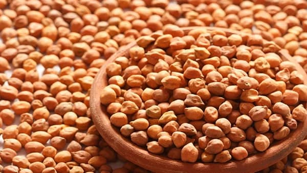 आपल्या शरीरासाठी सर्वात महत्वाचे प्रोटीन असते. काहीही झाले तरीही आपण दररोजच्या आहारात प्रोटीन घेतले पाहिजे. प्रोटीनची कमी शरीरात झाल्यावर अनेक आरोग्य समस्या निर्माण होतात.