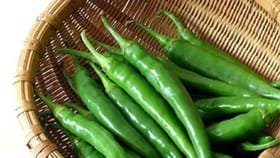 दररोज जेवणासोबत दोन हिरव्या मिरच्या खाल्ल्याने शरीरावर काय परिणाम होतो.