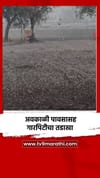 अवकाळी पावसासह गारपिटीचा तडाखा.