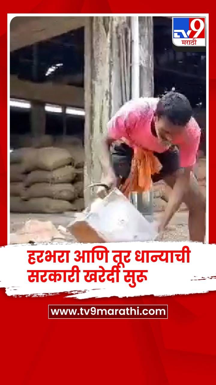 रब्बी हंगामासाठी हरभरा आणि तूर धान्याची सरकारी खरेदी सुरू