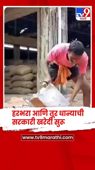 रब्बी हंगामासाठी हरभरा आणि तूर धान्याची सरकारी खरेदी सुरू