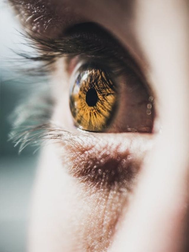 डोळ्यांचे आरोग्य चांगले राखतात हे अन्नपदार्थ