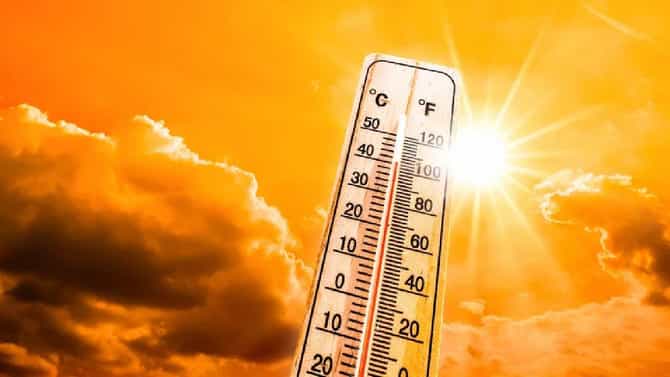 उष्णतेच्या लाटेपासून बचाव करण्यासाठी या उपायांचा करा अवलंब