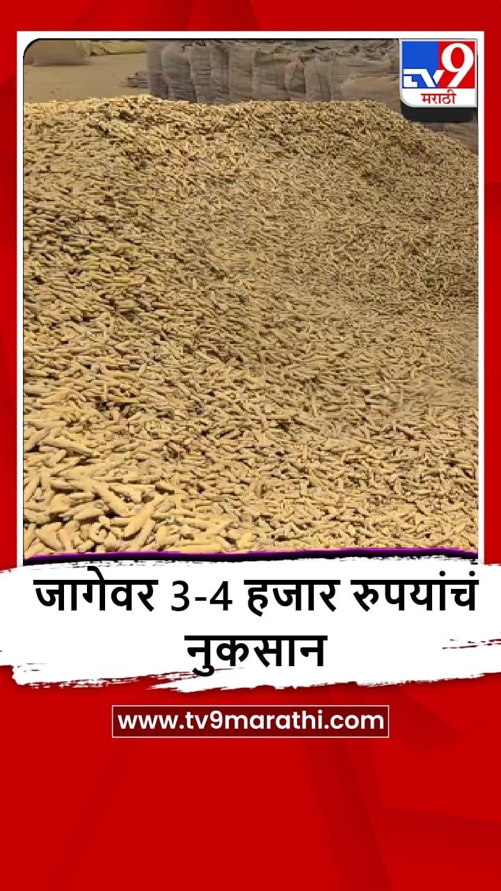 Hingoli : इराण-अमेरिकेतील संघर्षाचा हळद उत्पादक शेतकऱ्यांना फटका, जागेवर 3-4 हजार रुपयांचं नुकसान