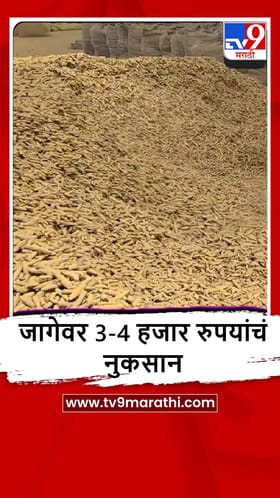 Hingoli : इराण-अमेरिकेतील संघर्षाचा हळद उत्पादक शेतकऱ्यांना फटका, जागेवर 3-4 हजार रुपयांचं नुकसान