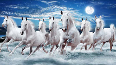 घरात या दिशेला लावा धावणाऱ्या 7 घोड्यांचे फोटो, तुमच्याकडे आकर्षित होईल सुख आणि समृद्धी