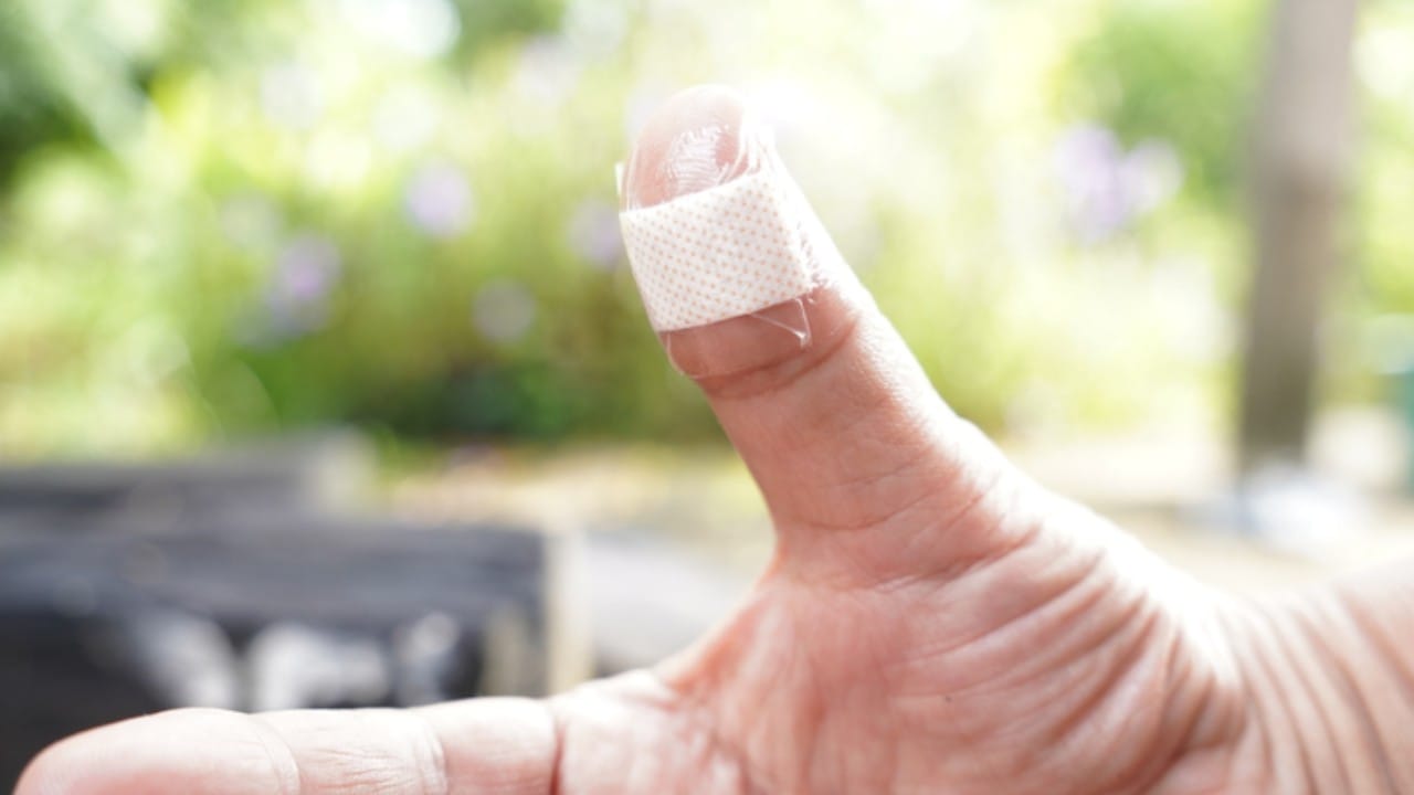 त्यात लाल रक्तपेशी, पांढऱ्या रक्तपेशी व प्लेटलेट्स तरंगत असतात. या प्लाझ्मामध्ये ९० टक्क्यांहून अधिक पाणी असते. म्हणजेच, जखमेतून जे रक्त बाहेर येते, त्यातही मोठ्या प्रमाणात पाणीच असते. परंतु हेमोग्लोबीनमुळे त्याला लाल रंग प्राप्त झालेला असतो.