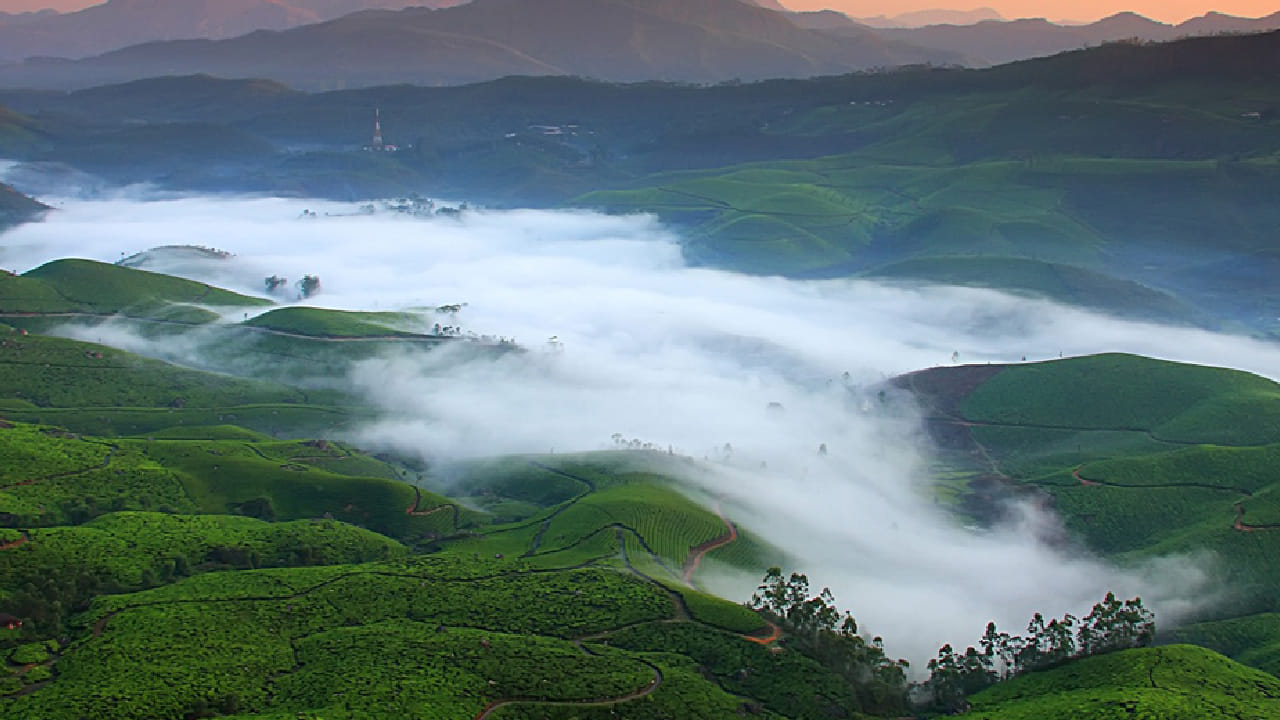 इडुक्की जिल्हा आपल्या घनदाट जंगलांसाठी आणि डोंगराळ प्रदेशासाठी प्रसिद्ध आहे. येथे निसर्गाची अनोखी किमया अनुभवता येते. शांतता आणि साहस दोन्ही गोष्टींचा संगम येथे पाहायला मिळतो.