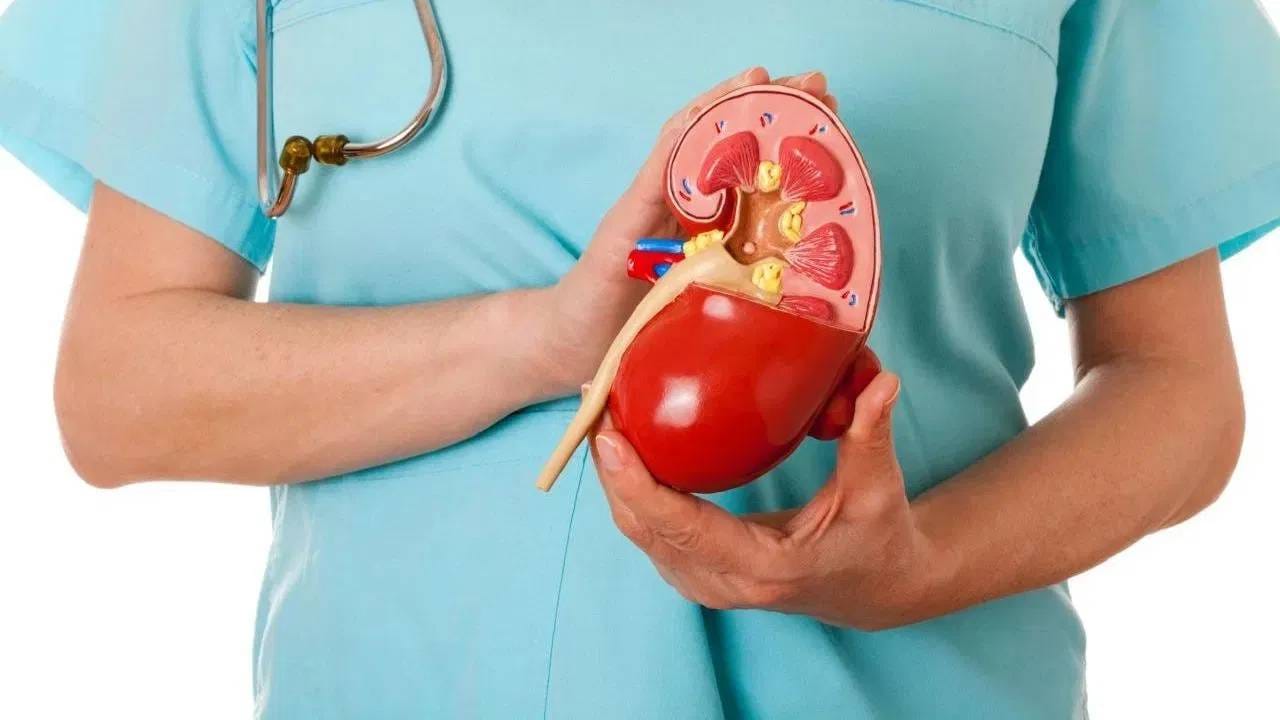 आधीच मूत्रपिंडाच्या समस्या असलेल्या लोकांमध्ये धूम्रपानामुळे रोग अधिक वाढतात. आणखी एक चिंता म्हणजे अज्ञात कारणांचा दीर्घकालीन मूत्रपिंडाचा आजार वाढतो. 