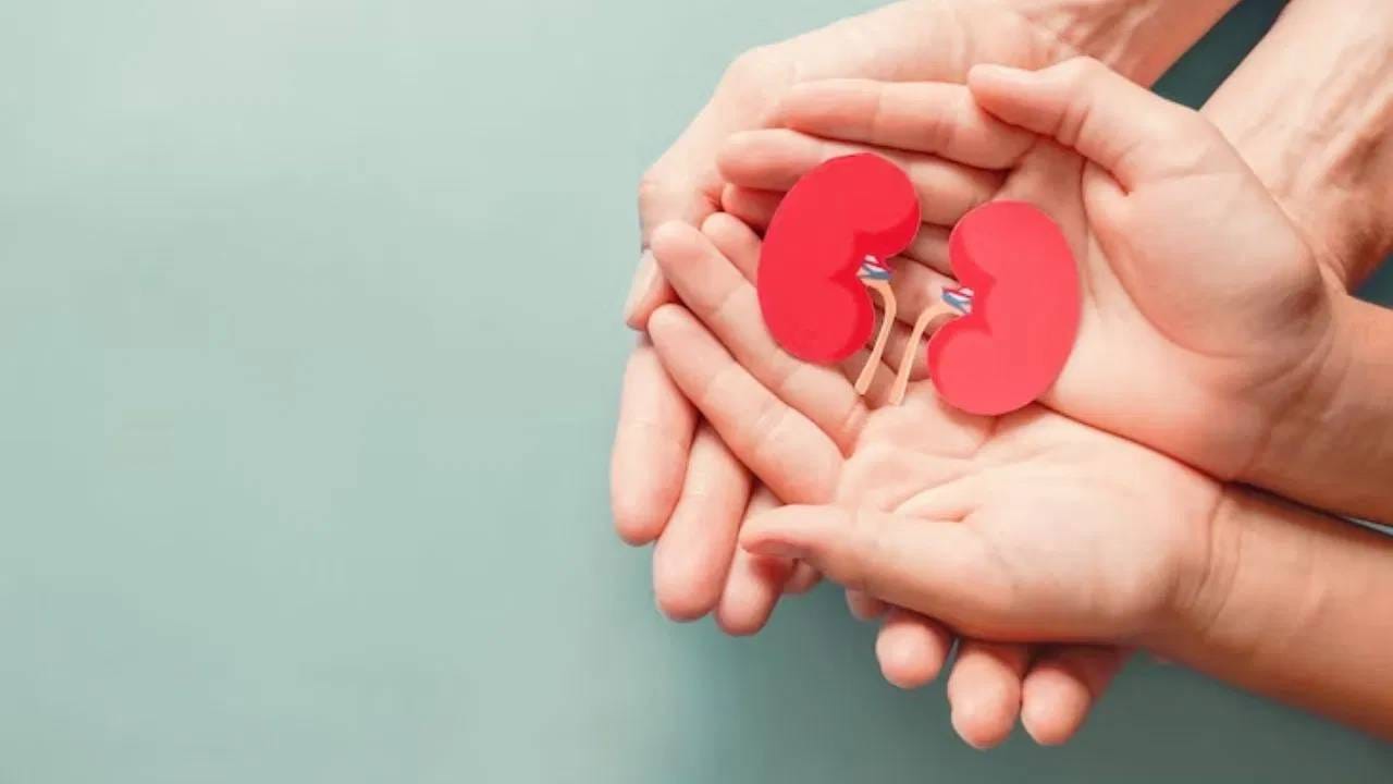  बऱ्यापैकी लोकांना सवय असते की, सतत धूम्रपान करण्याची. मात्र, धूम्रपान आपल्या आरोग्यासाठी अत्यंत घातक आहे. धूम्रपान केल्याने आरोग्याच्या असंख्य समस्या निर्माण होतात. 