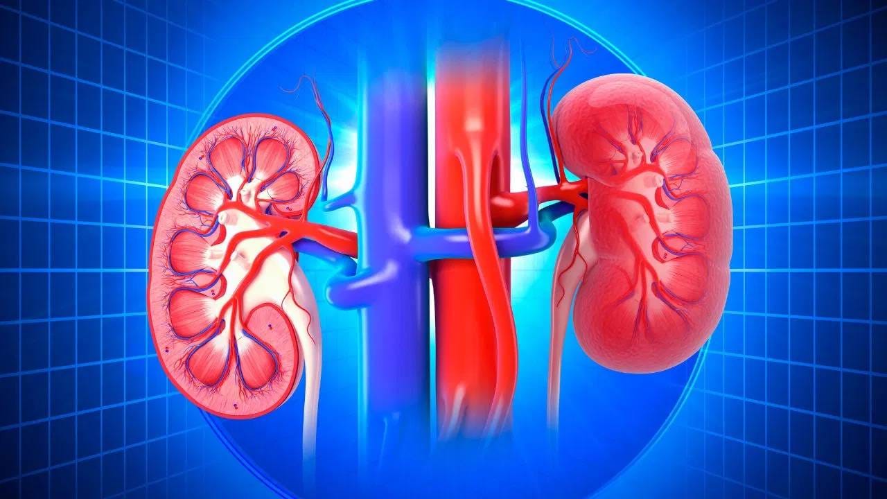 डॉक्टरांच्या प्रिस्क्रिप्शनशिवाय वेदनाशामक औषधांचा, विशेषतः NSAIDs चा दीर्घकाळ वापर केल्याने मूत्रपिंडाचे कायमचे नुकसान होऊ शकते. जे आरोग्यासाठी घातक आहे. 