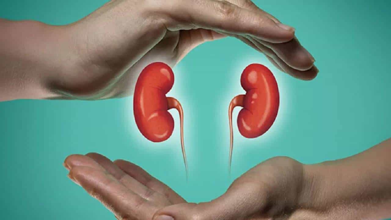 बऱ्याच लोकांना सवय असते की, काहीही दुखले की, डॉक्टरांच्या सल्ल्याशिवाय गोळ्या घेण्याची. मात्र, ही सवय आरोग्यासाठी अत्यंत घातक आहे. ज्यामुळे गंभीर समस्या निर्माण होऊ शकता..