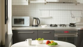 झुरळं आणि मुंग्यांपासून सुटका मिळवण्यासाठी फक्त हे करा.